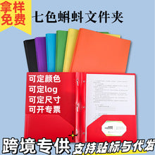 Chemise Porte-Documents A4 Transparente – Couleurs Bonbon, 20 à 100 Pages