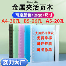 Chemise Porte-Documents A4 Transparente – Couleurs Bonbon, 20 à 100 Pages