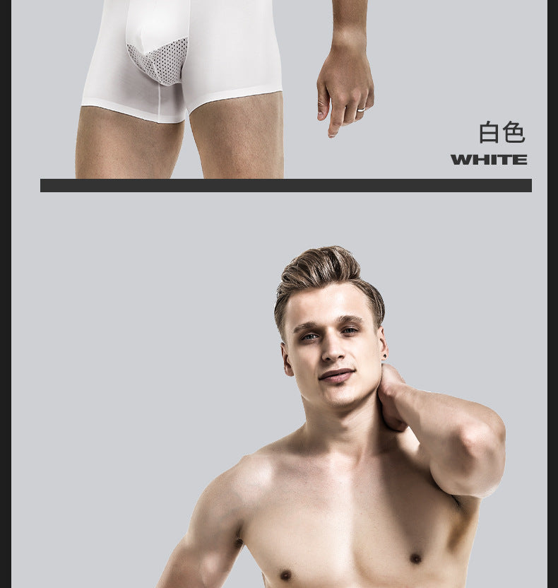 Men's Bullet-Style Spermatic Cord Separation Underwear, Ice Silk Pouch Boxer Briefs for Varicose Veins, Thin Style